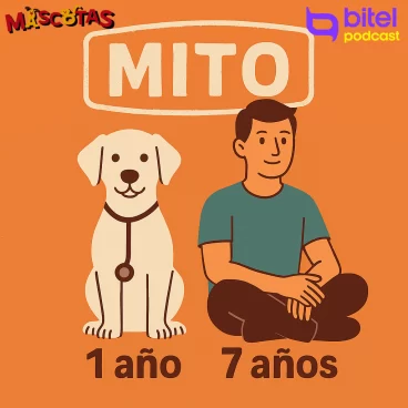 Mitos sobre los animales